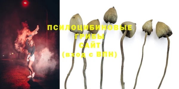 эйфоретик Алексеевка