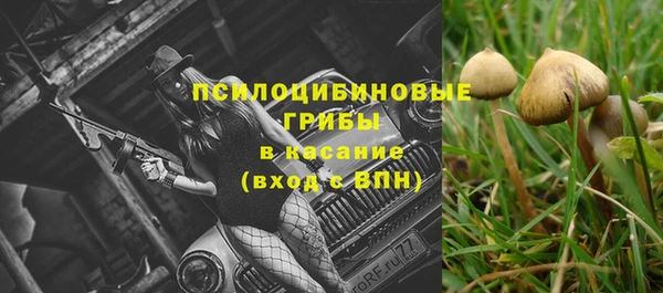 а пвп мука Алзамай