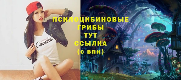 эйфоретик Алексеевка