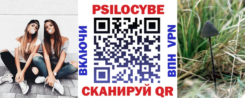 как найти наркотики Железногорск-Илимский Галлюциногенные грибы Magic Shrooms